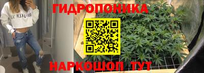 a pvp Будённовск