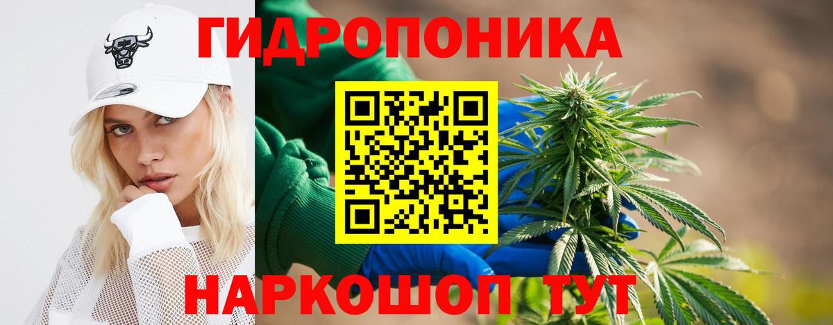 МАРИХУАНА планчик Тельмана